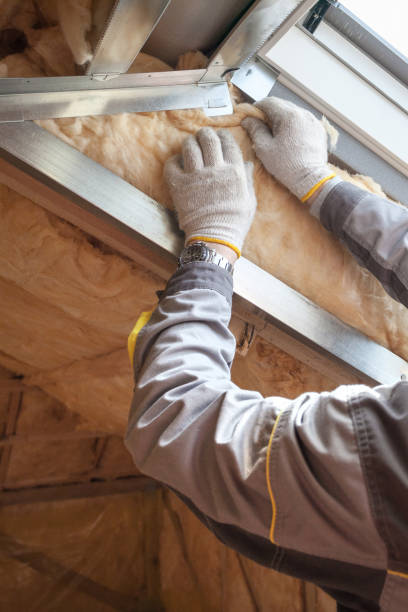 Best Commercial Insulation in Slaughterville, OK